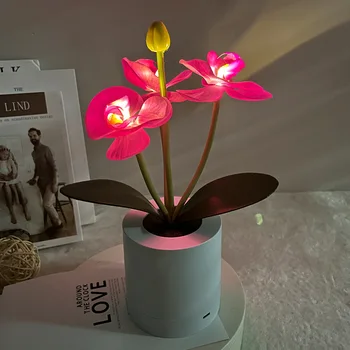 LED Romantiška Phalaenopsis Naktį Šviesos Įkrovimo Pritemdomi Atmosfera Lempa, Miegamojo, Stalo, Dekoratyvinės Lempos Dovanos Draugui